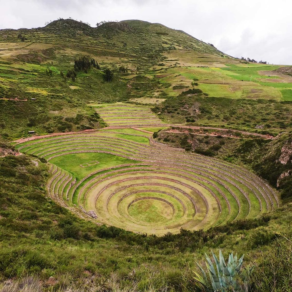 Moray