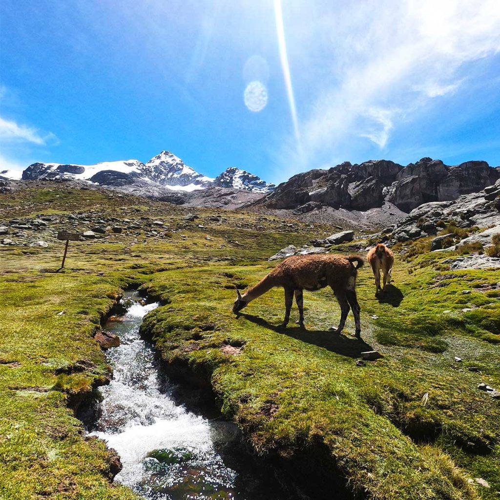 Miles de turistas visitan Machu Picchu durante la temporada alta