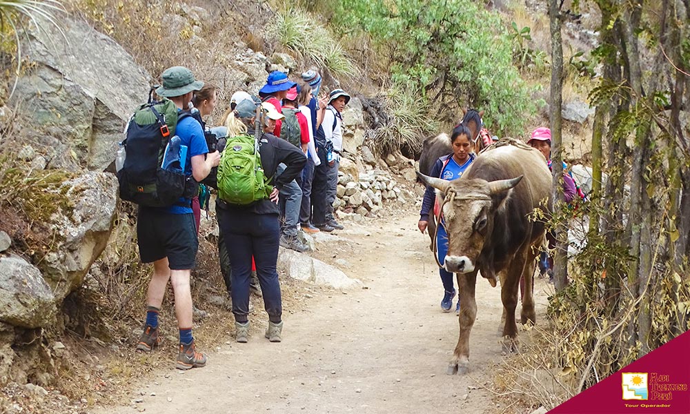 Trekking-in-Peru-1