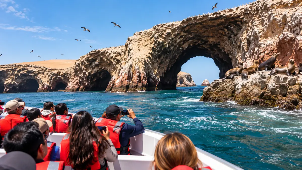 Paracas Tour